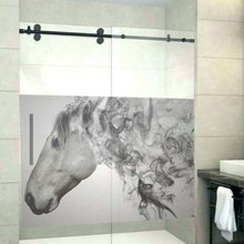 Shower Door Film