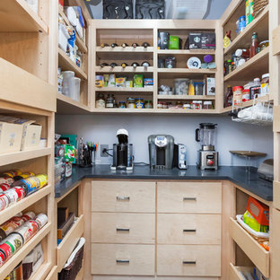 75 Beautiful Kitchen Pantry With Stainless Steel Cabinets Pictures