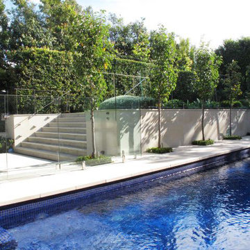 Rear Garden and Pool - Mosman, Sydney