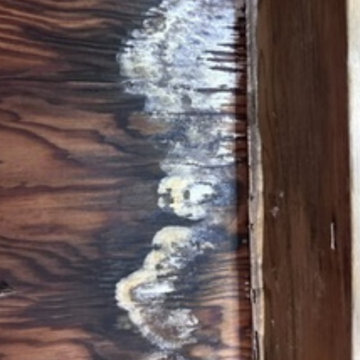 Sedona Healthy Home Inspection