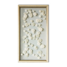 sand dollar art