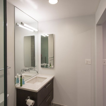 Columbia Heights Condo Renovation