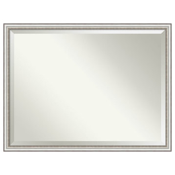 Salon Silver Narrow Beveled Wall Mirror 42.5 x 32.5 in.
