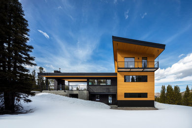Inspiration for a scandinavian exterior home remodel in Other