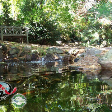 KOI Pond, Backyard Pond & Small Pond Ideas for your Kentucky Landscape