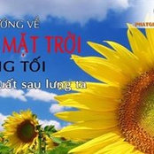 Hoa Mat Trois foto