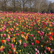Sonja Kenyon's photo
