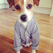 Patric Fredriksson's photo