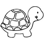 Patricia Puls's photo