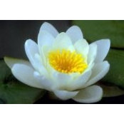 Elif Diri's photo