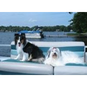 Barbara Waitt's photo
