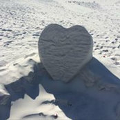 Robin Gibson's photo