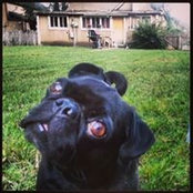 Nick Stratton's photo