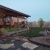 Foto di idalucero