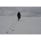 Matt Gower's photo