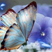 Sharlene Johnson's photo