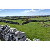 Michael Flaherty's photo