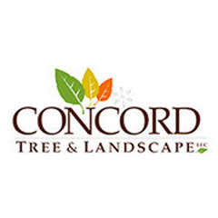 Concord Tree & Landscape