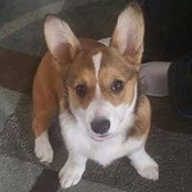 Velma Husted's photo