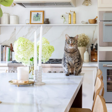 Clients Cat Joins Photoshoot Fun!