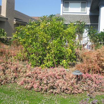 Fountain Valley Eco Yard