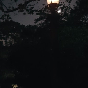 Preston Hollow Gas Lamps