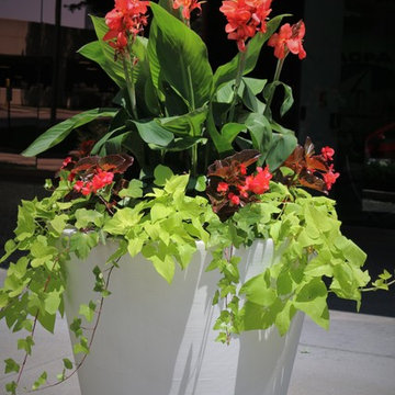 Seasonal Display