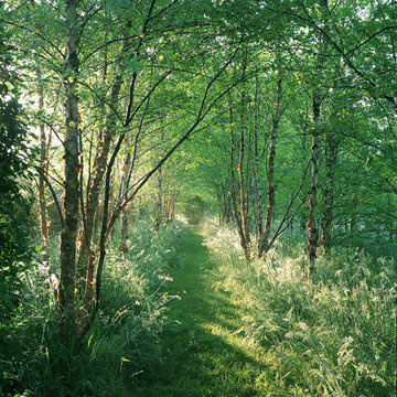 Hither Lane