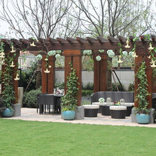 Front Yard Inspiration