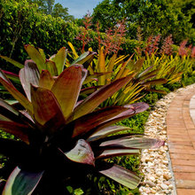 landscaping ideas