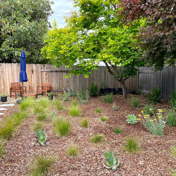 Modern Backyard Makeover