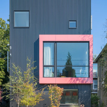 Big Mouth House