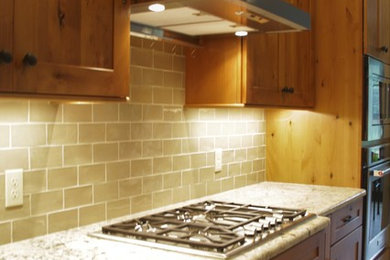 Kitchen - rustic kitchen idea in Grand Rapids