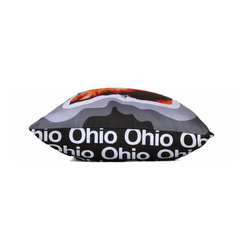 Ohio Map Pillow, Charcoal - Decorative Pillows