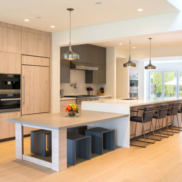 Lutron Homeworks "Ketra"