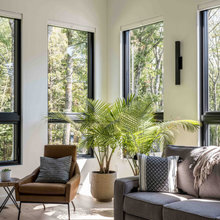 Blinds/Curtains