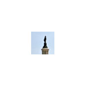 Bradley Rawls's photo