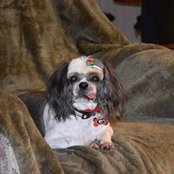 Carol Britt's photo