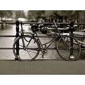 Mallory Stone's photo