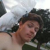Drew Beck's photo