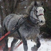 Foto de Norma Macinnis
