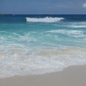 Cathie Preston's photo