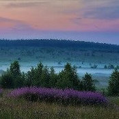 T.j. Neal's photo