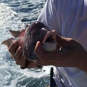 Gary Johnson's photo