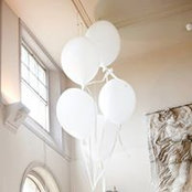 Natasha Harris's photo
