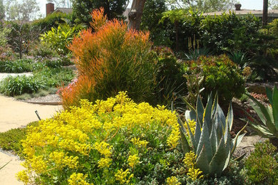 Inspiration for a contemporary drought-tolerant backyard landscaping in Los Angeles.