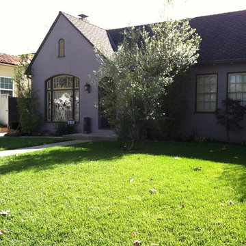 Front Lawn Clean-up
