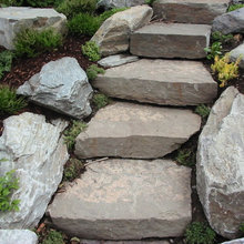 Landscaping Yard