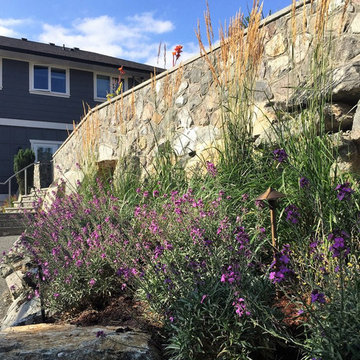 Cliffside Paradise