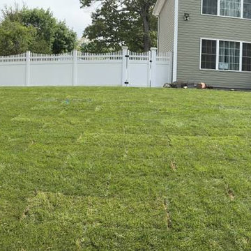 Front Yard Makeover, New bluestone Driveway, Cobblestone Curb and Apron and Sod